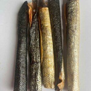 Fish Skins